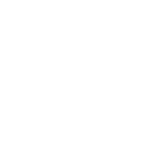 Lost Identity